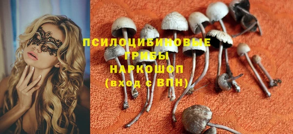 прущий лед Алзамай