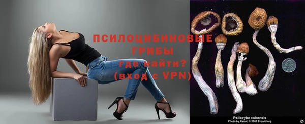 прущий лед Алзамай