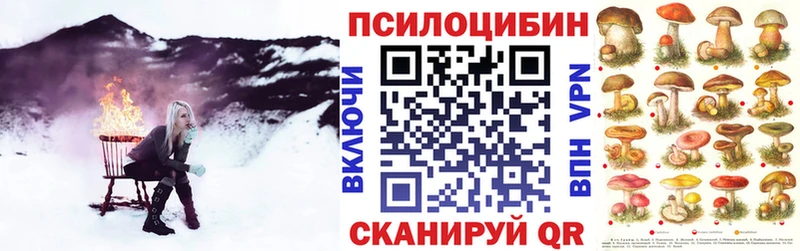 где продают   Тырныауз  Псилоцибиновые грибы Psilocybe 